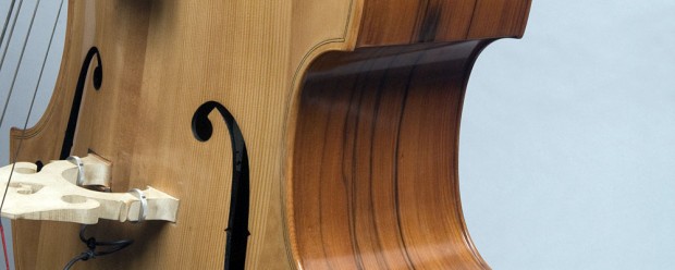 Bass of the Week: David Gage Czech-Ease Double Bass