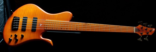 Bass of the Week: Aquilina Basses DB