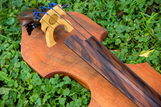 Bass of the Week: Dahrendorf Guitars Darwin EUB34
