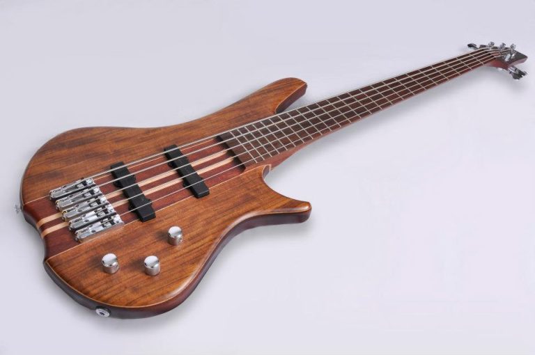 Bass of the Week: Salzmann Virutero NT