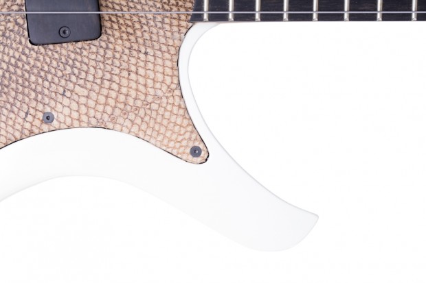 Bass of the Week: Wahlbrink Hades 4-String Salmo Salar