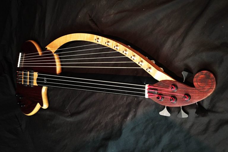 Bass of the Week: Barton Basses 11-String Fretless Harpbass