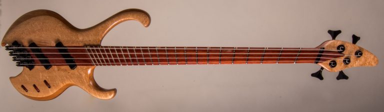 Bass of the Week: 5th Day Products Molly Bass