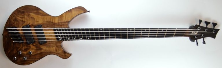 Bass of the Week: Fast Guitars Intrepid