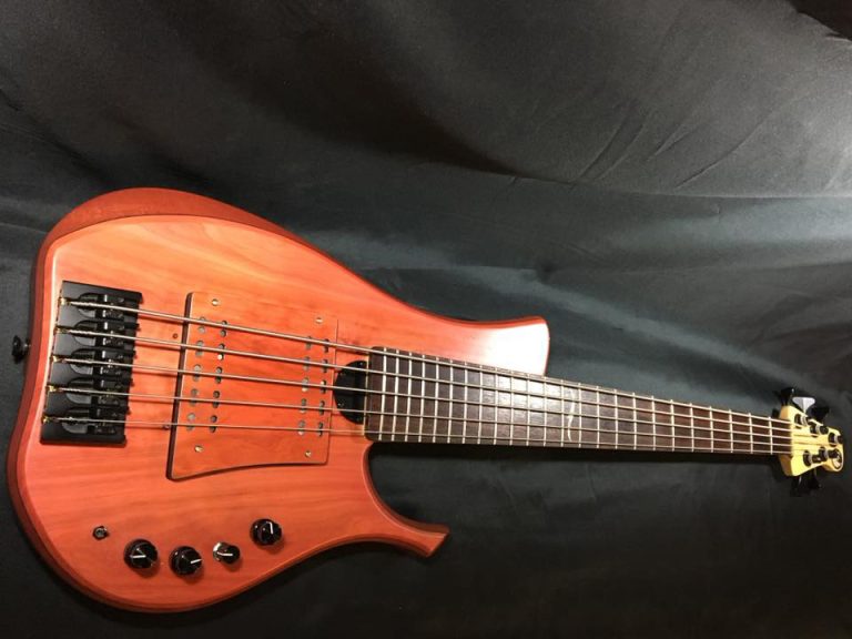 Bass of the Week: Swan Custom Basses LG II