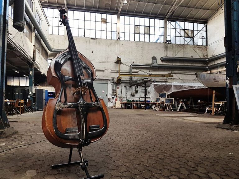 Bass of the Week: The Swedish Harp Bass