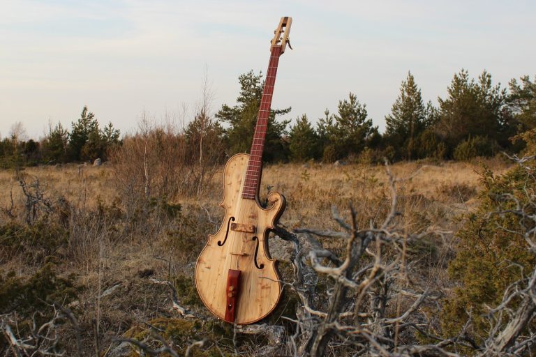 Bass of the Week: Tüi Instruments Muhu Bass