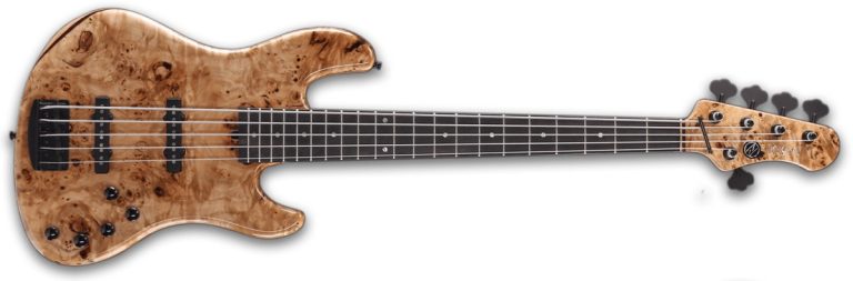Bass of the Week: AV Basses AVJM5