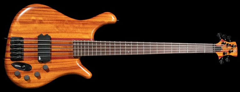Bass of the Week: RG Custom Basses 5-String