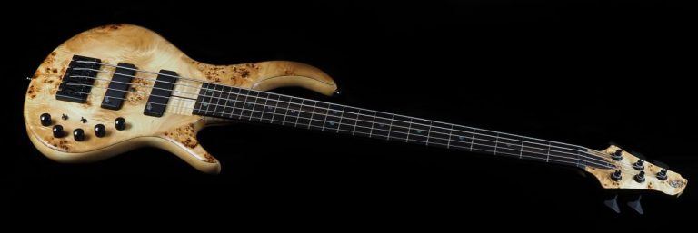 Bass of the Week: RJ Customs Valupture