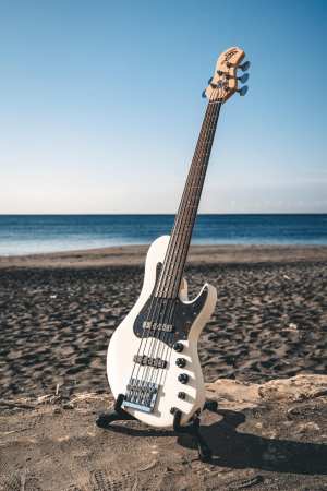 Bass of the Week: Saitias Guitars Lexell 5
