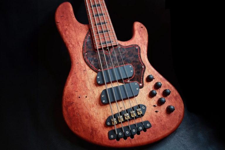 Bass of the Week: Z Bass Guitar EV2 Custom Exotic Woodpecker
