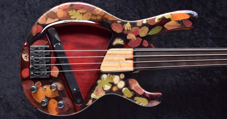 One Bass, Two Necks: Spalt Instruments B 2601 “Walden Pond”